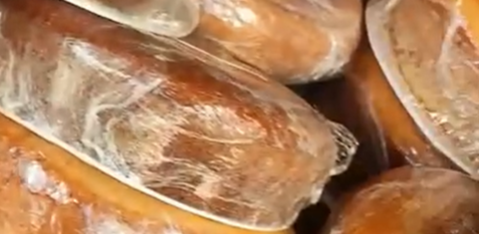 PAA – PROGRAMA DE AQUISIÇÃO DE ALIMENTOS