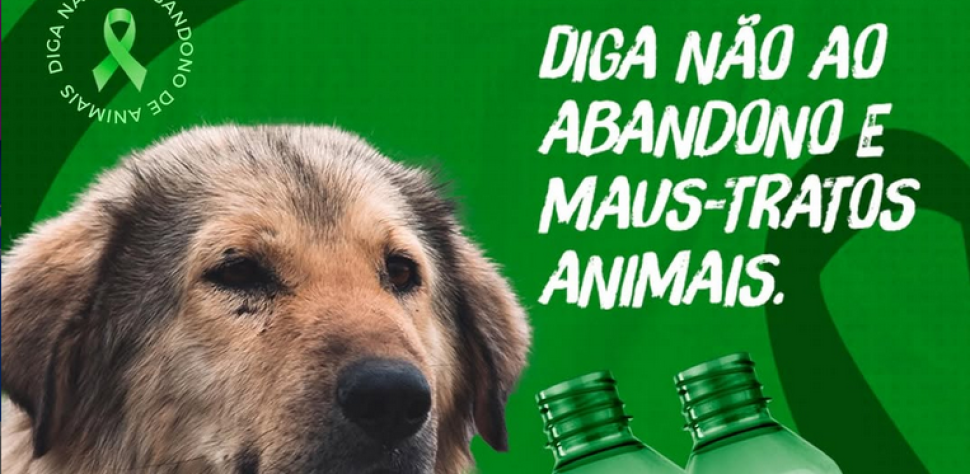 DIGA NÃO AO ABANDONO E AOS MAUS-TRATOS