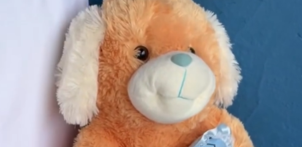 AÇÃO ESPECIAL COM GESTANTES